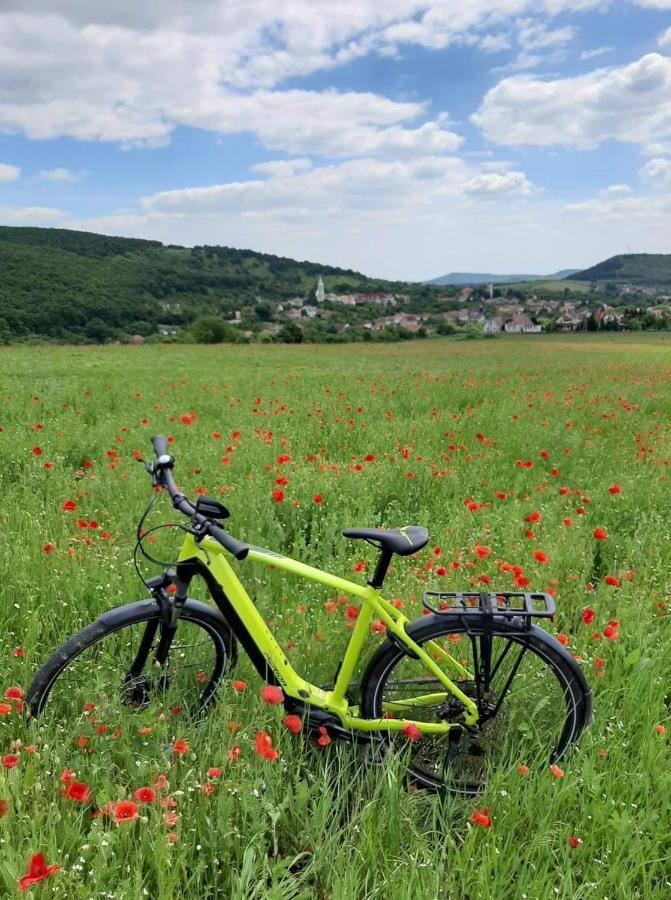 E-Tekergok Haza Hotel Bukkzserc Buitenkant foto