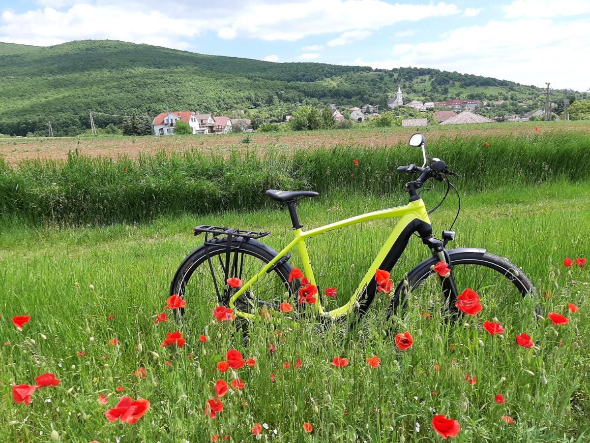 E-Tekergok Haza Hotel Bukkzserc Buitenkant foto